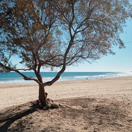 Appartement Sunny Sea *